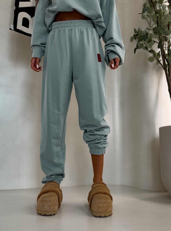 Spodnie DEJW – szałwiowe